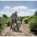 Бензобур STIHL BT 230