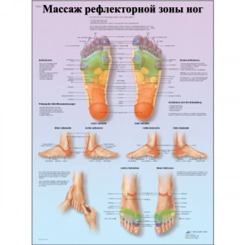 Массаж рефлекторной зоны ног