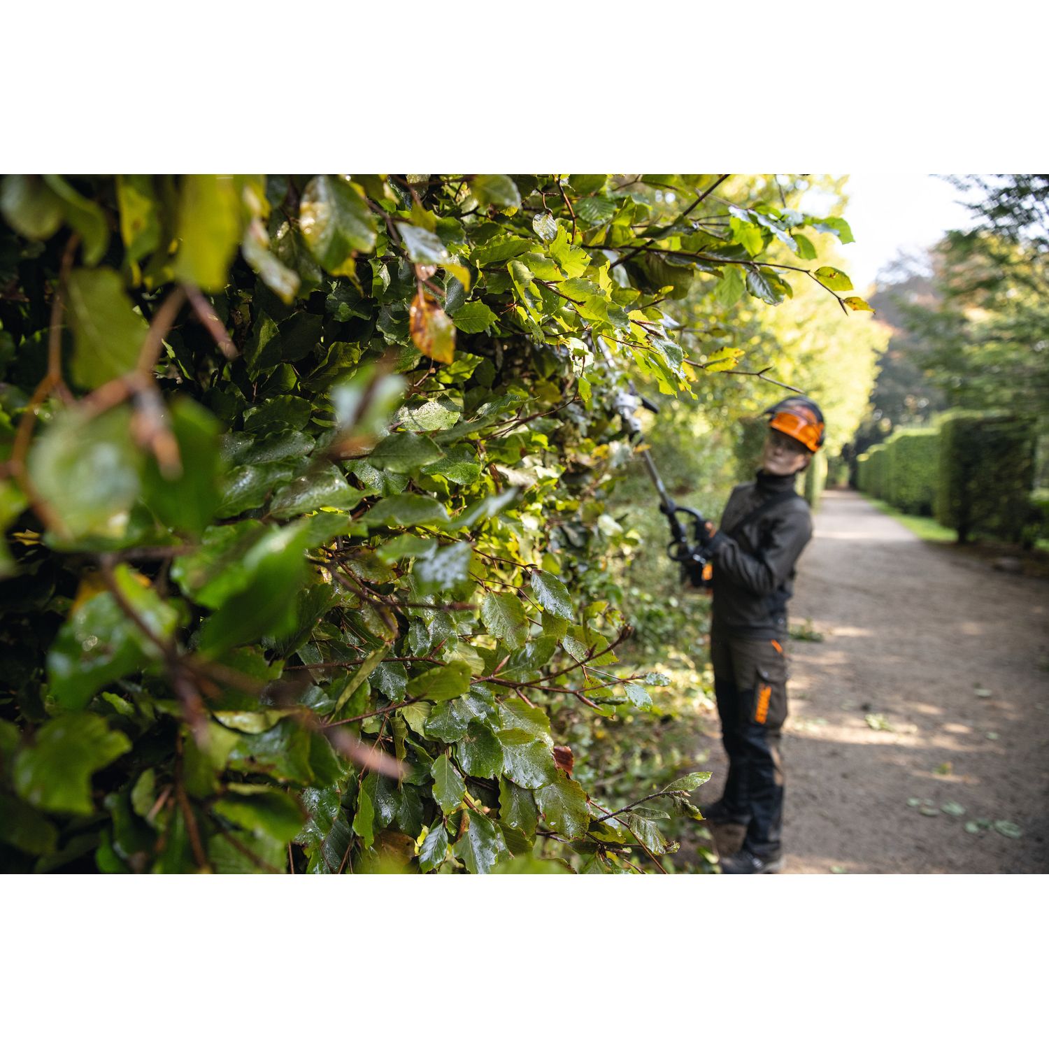 Аккумуляторный высоторезный кусторез STIHL HLA 135 K