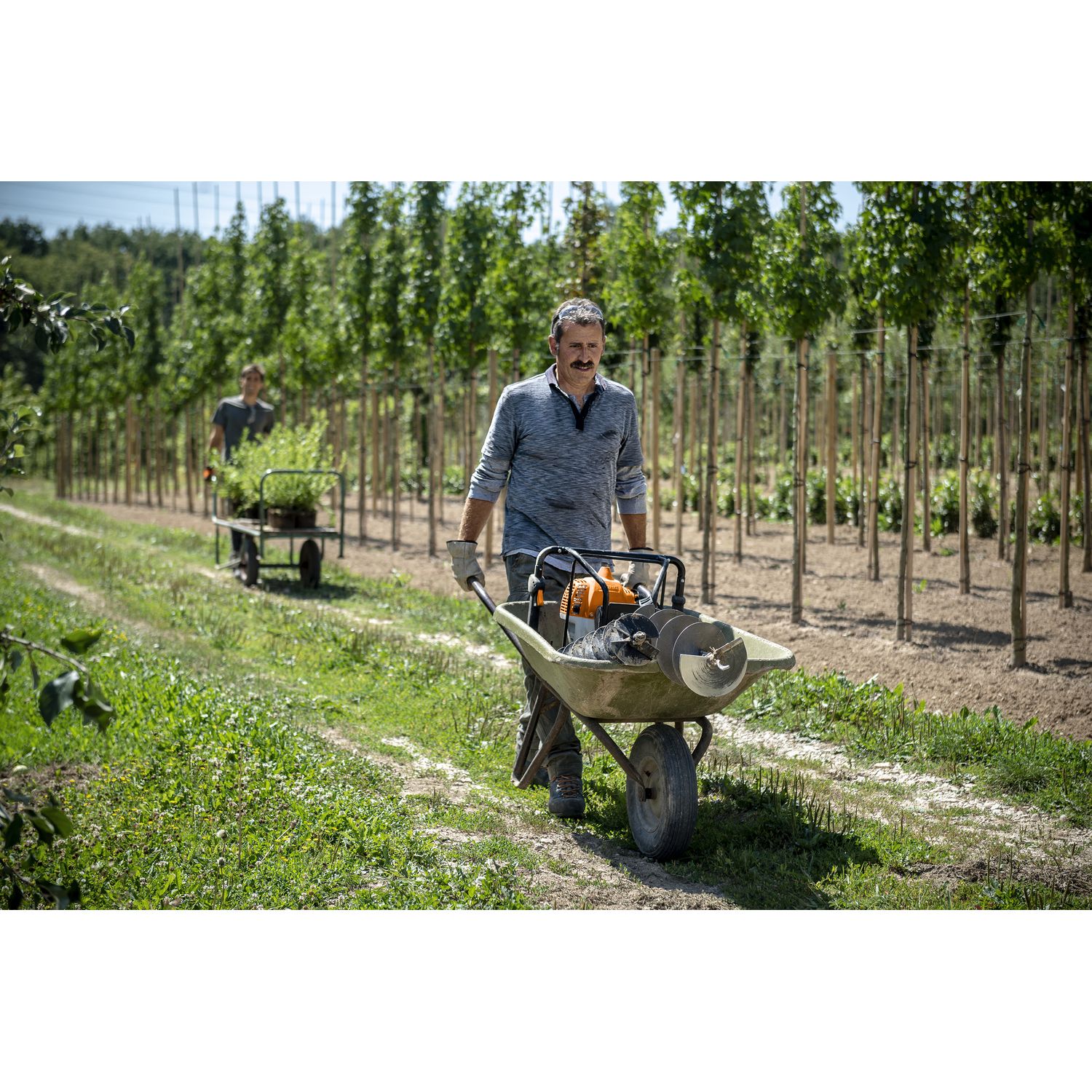 Бензобур STIHL BT 230