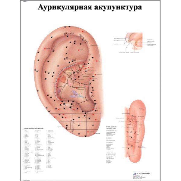 Аурикулярная акупунктура