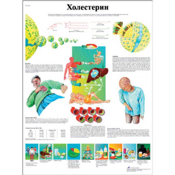 плакат Холестерин