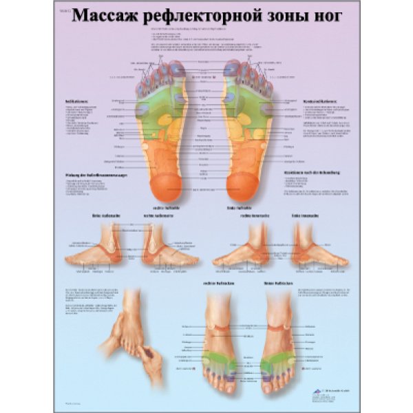 Массаж рефлекторной зоны ног