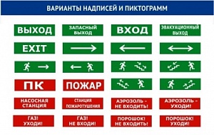 Светоуказатель наружный двусторонний Люкс-24 ДНИ (24В)