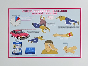 Комплект плакатов 'Первая медицинская помощь при чрезвычайных ситуациях' (А3, 10 листов)